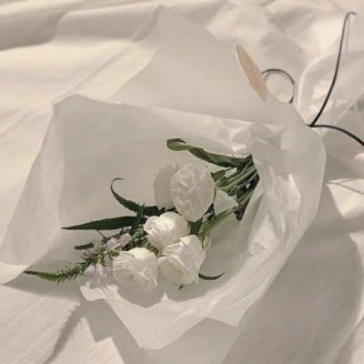异世修真之我是传奇h5手机版下载